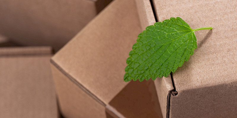 Logística Verde: Transformando la Movilidad y la Gestión de Almacenes Hacia un Futuro Sostenible