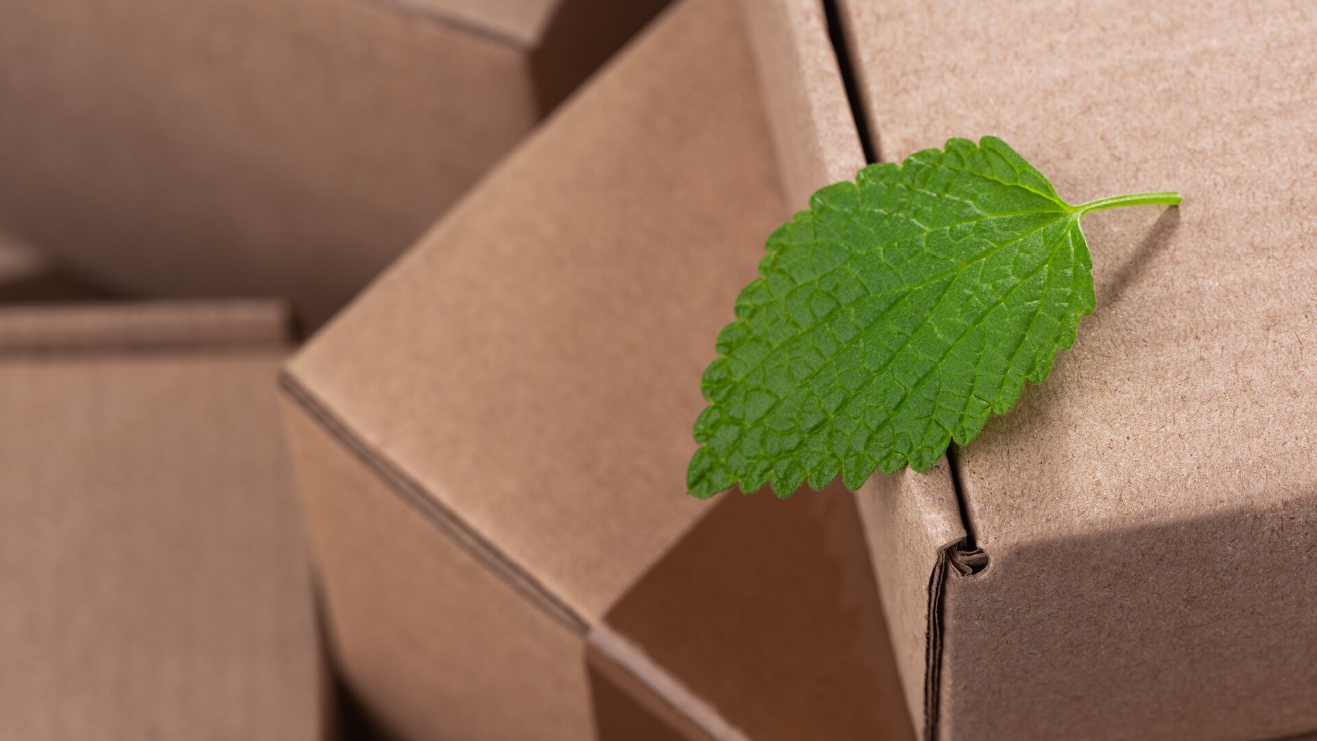 Logística Verde: Transformando la Movilidad y la Gestión de Almacenes Hacia un Futuro Sostenible